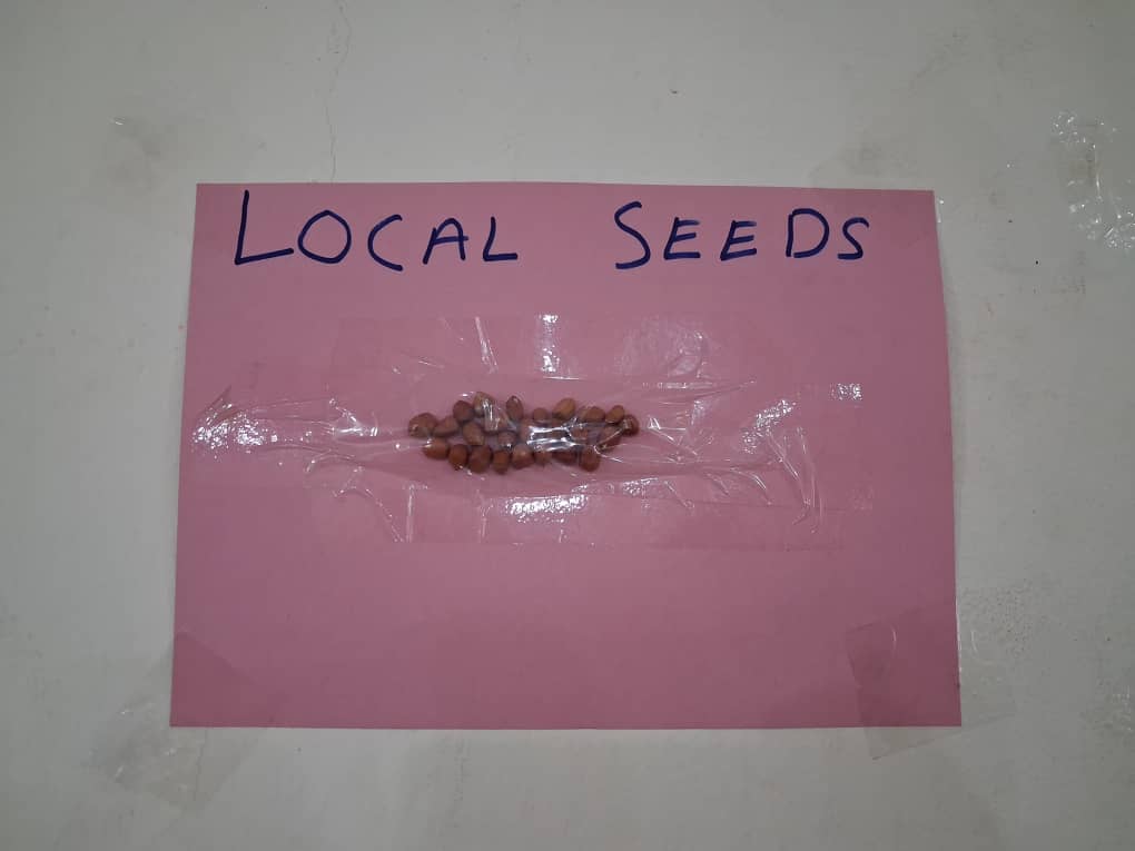 ActionAidGhana's tweet image. This week, ActionAid Ghana’s Upper East Programme, with partners Trax Ghana and The Beela Project, strengthened the capacity of women farmers, youth, and activists to protect indigenous seeds and champion agroecology.
#Foodsoverienty
#zerohunger