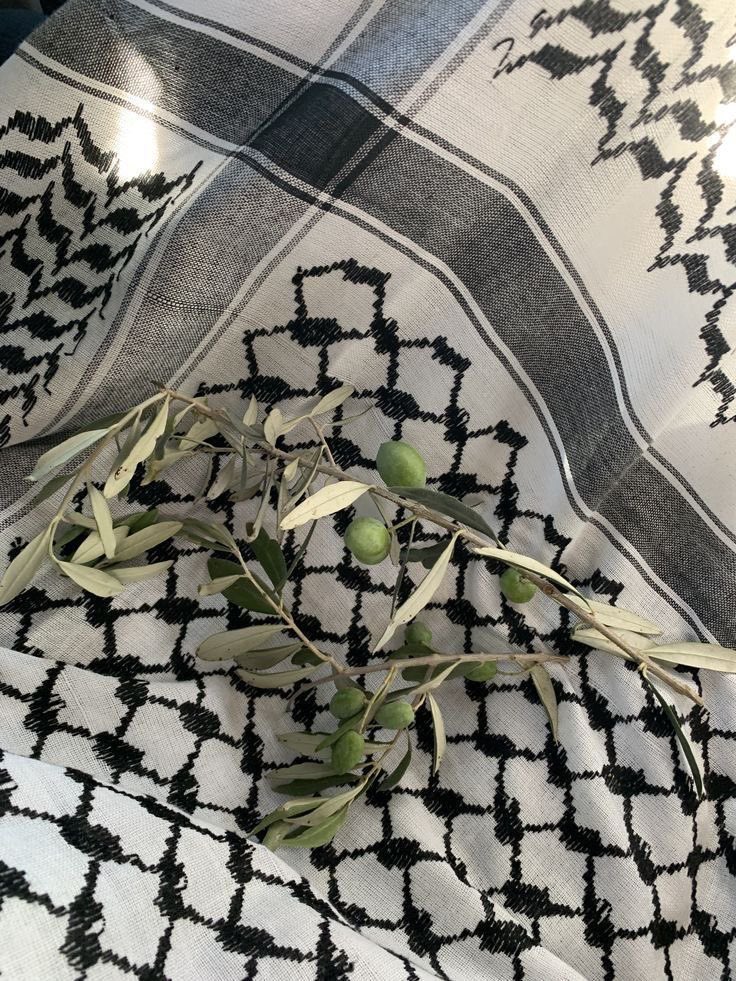 Mohammed Akram| مُحَمَّدْ𓂆🇵🇸 tweet media
