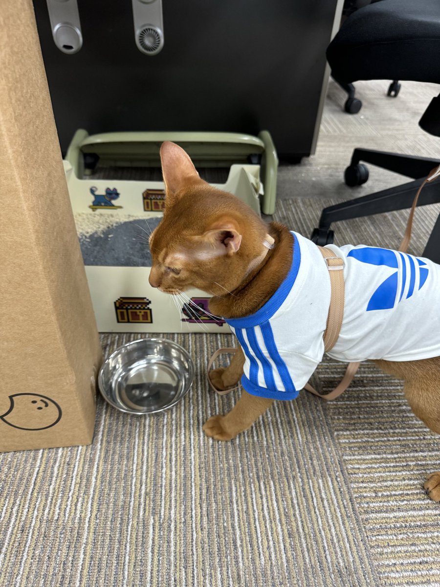 屌丝生活