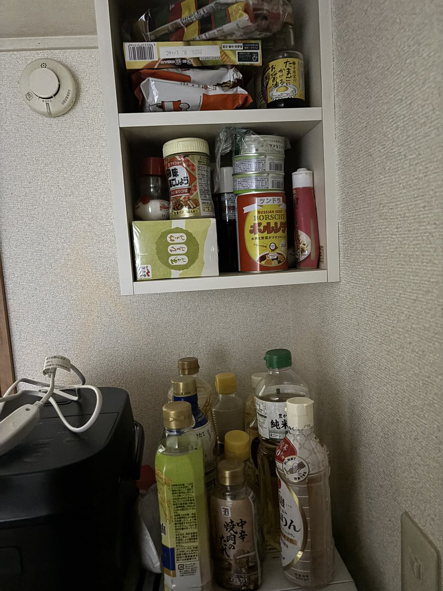２つ部屋借りてた弊害の調味料