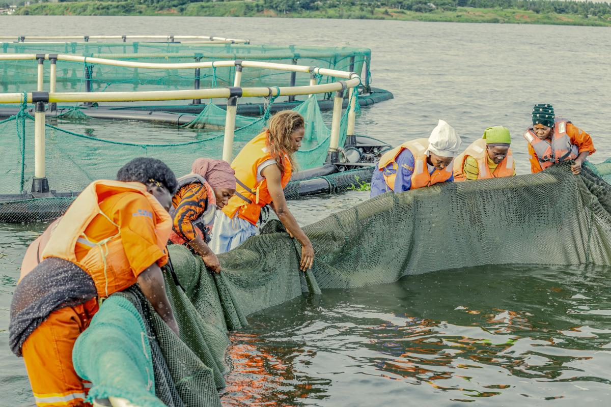 unwomenuganda's tweet photo. This week,@unwomenuganda hosted MPs from @Parliament_Ug under PFCC-U visiting Women’s Economic Empowerment beneficiaries in Bugiri &amp; Nwoya, showcasing women-led cage fish &amp; fruit farming.The visit showed how skills, support &amp; stronger value chains grow rural women’s agribusiness. https://t.co/ARzOiO8fjx
