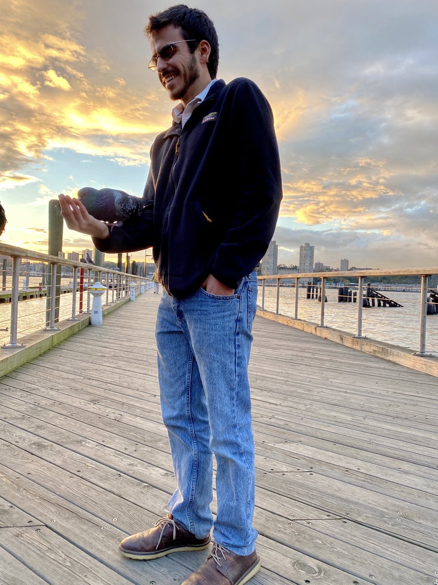 Josh Lipson tweet media