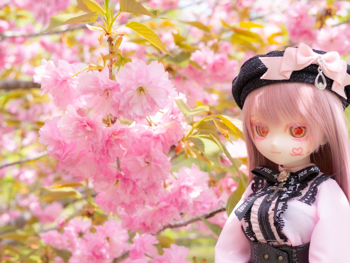 みつき tweet media