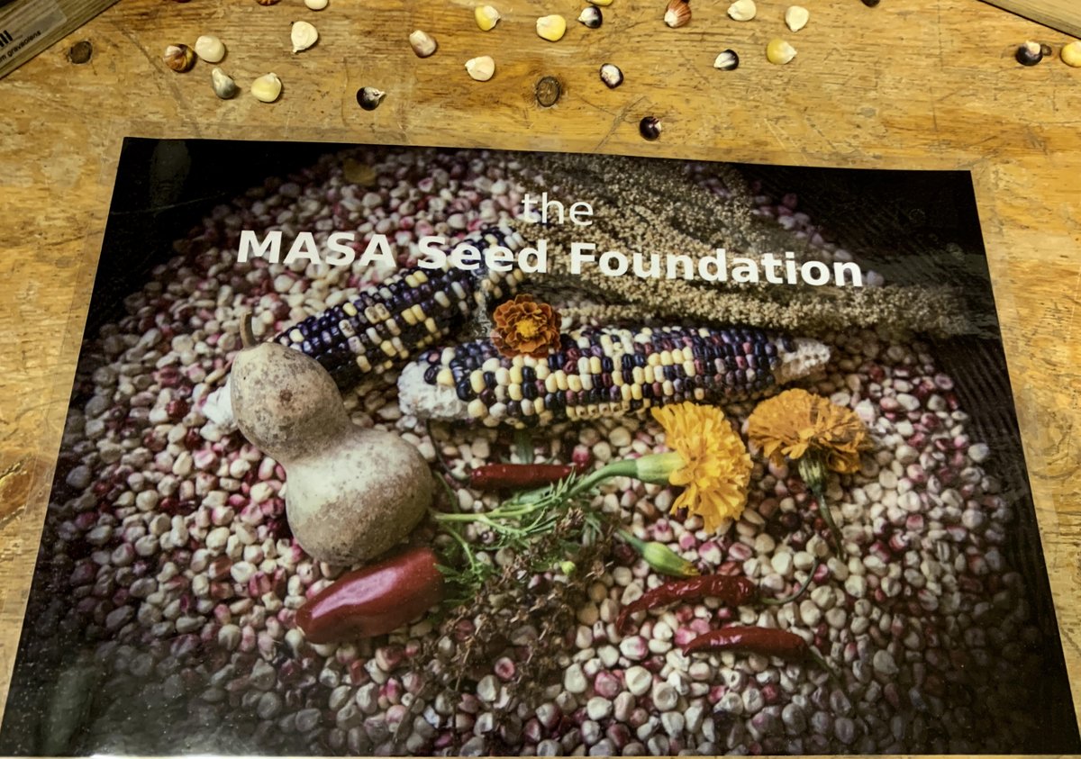 GrowYourOwnMeal's tweet image. Support #SeedSaving.  Seeds planted in #nutrientdense #SOIL are the foundations of thriving and #bountiful #foodsystems.  freetheseed.org/?utm_source=su…...