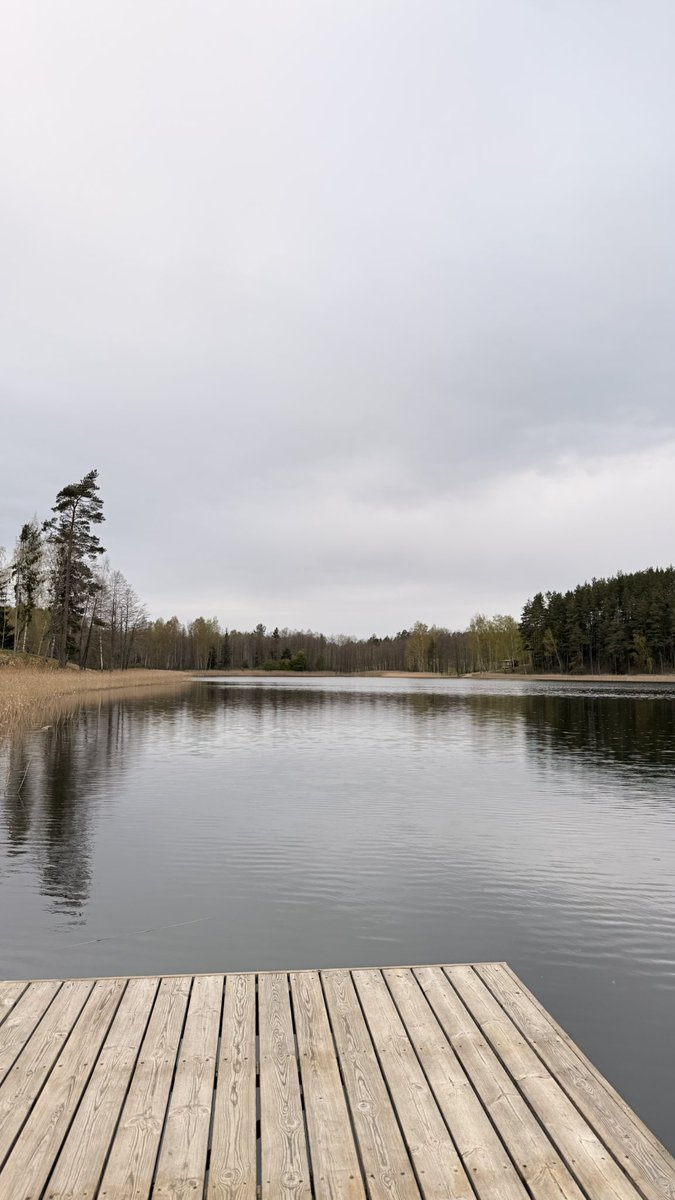 SAVA DESIGN tweet media