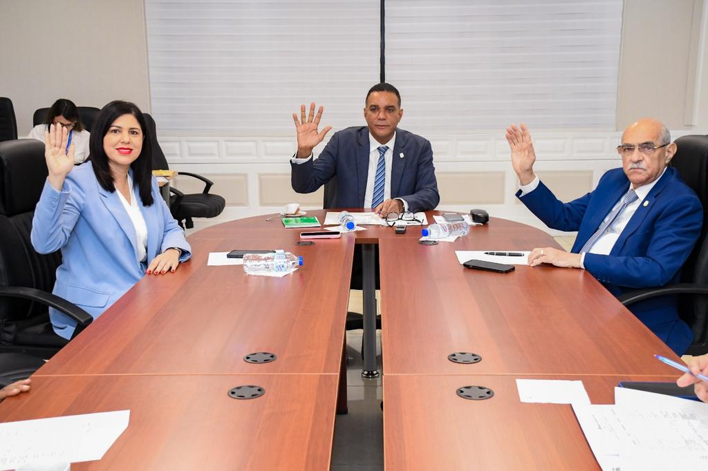SenadoRD's tweet photo. La Comisión de Cultura del Senado de la República acordó rendir informe favorable a la resolución que reconoce a monseñor Diómedes Espinal de León por su trayectoria de servicio y aportes a la sociedad dominicana, iniciativa presentada por el senador @OdalisSenador. https://t.co/AU5HAhEmEI