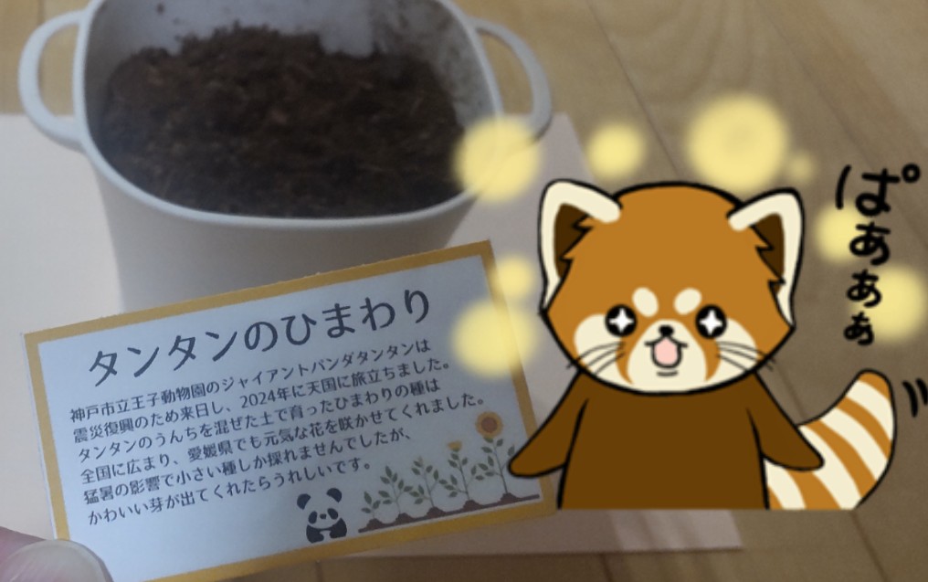 なお tweet media