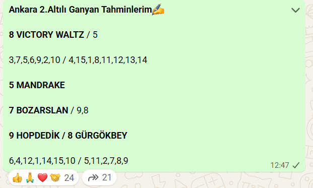 Cemal Güneş☀️🐎 tweet media