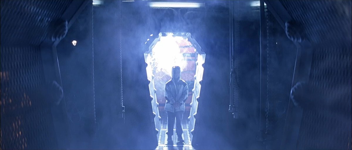 Have you ever seen a horror movie where someone sees an apparition of a loved one who's been dead for years, and it's obviously some evil supernatural entity trying to trick them, but they still follow it?

Being on Twitter has made me realize people that stupid really exist.