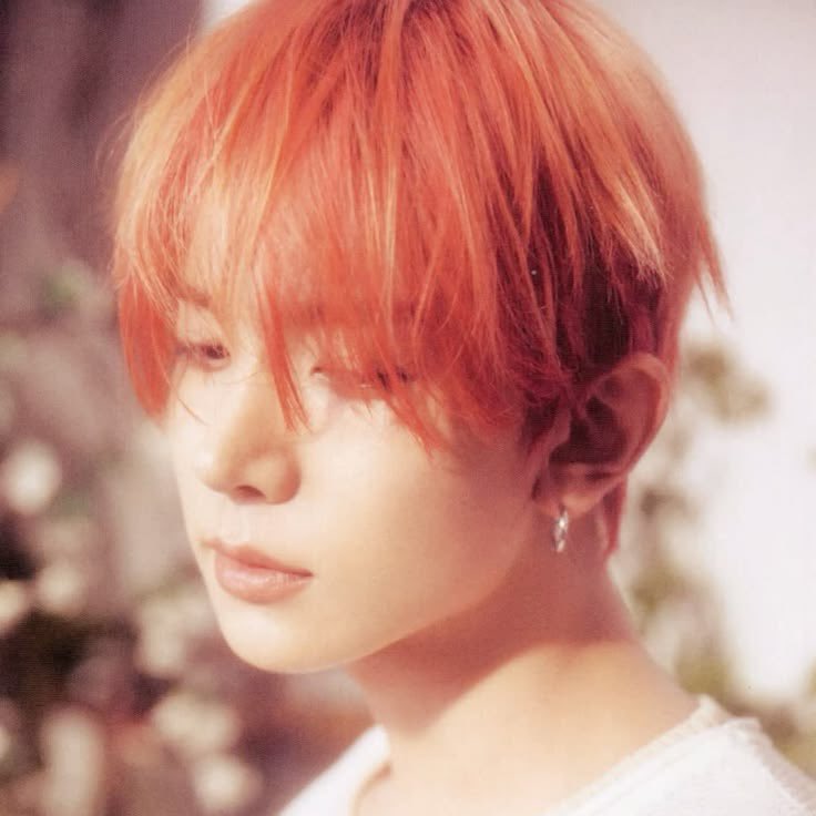 ,, ENHYPEN IS 7 tweet media