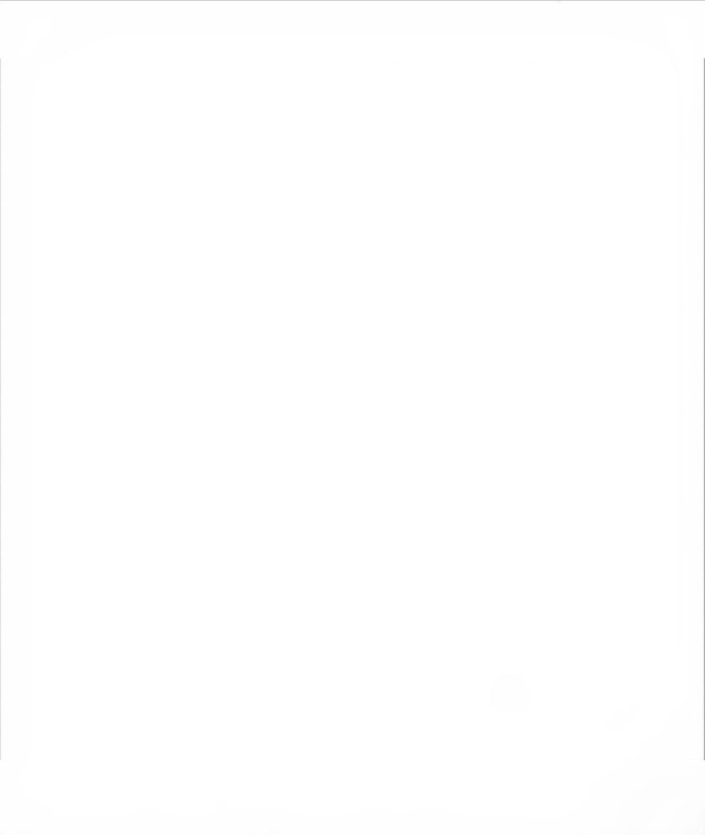 01013_95's tweet image. oh jimin would’ve like #tumblr