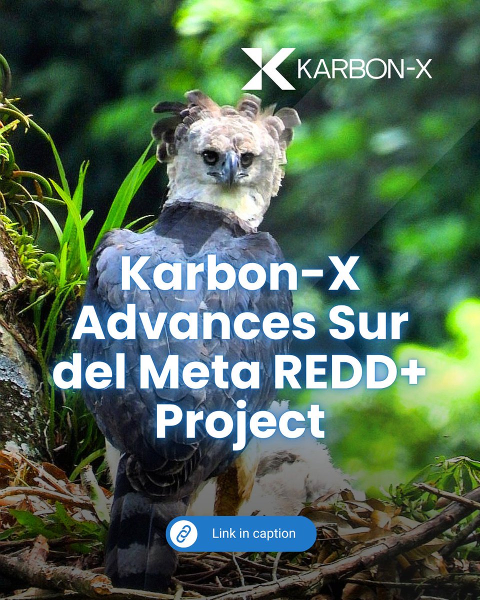 karbonxofficial's tweet image. Karbon-X partners with Fundación BioHerencia to bring biodiversity monitoring into the REDD+ project Sur del Meta, aligning ecological data with carbon accounting.

Read the full press release: visit.karbon-x.com/4t606qo

#KarbonX #Biodiversity #MRV #Colombia #KARX $KARX
