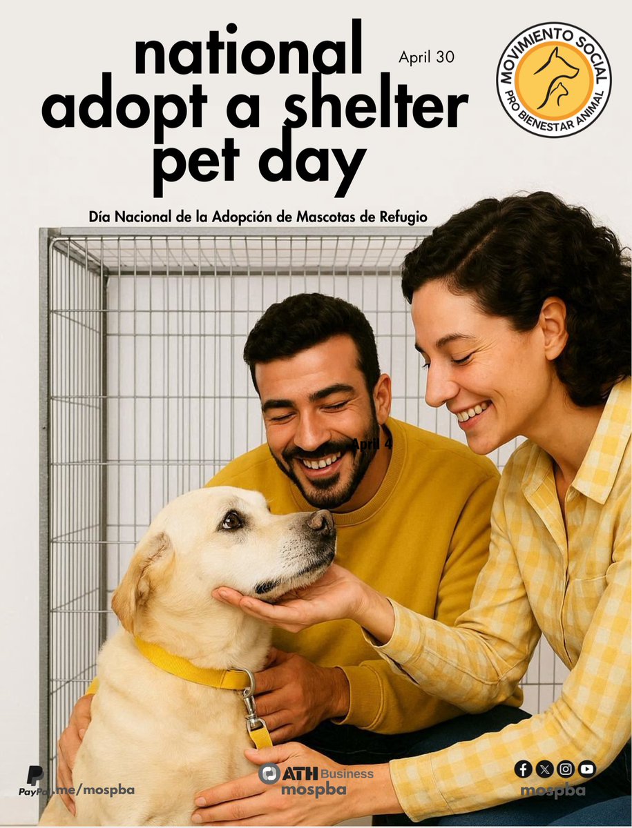 MOSPBA11's tweet photo. En este Día Nacional de la Adopción de Mascotas de Refugio, #NationalAdoptAShelterPetDay April 30,  te invitamos a considerar la adopción como tu primera opción. Los animales de refugio son leales, agradecidos y están listos para llenar tu vida de alegría.
#MOSPBA https://t.co/TvE2w7YvyO
