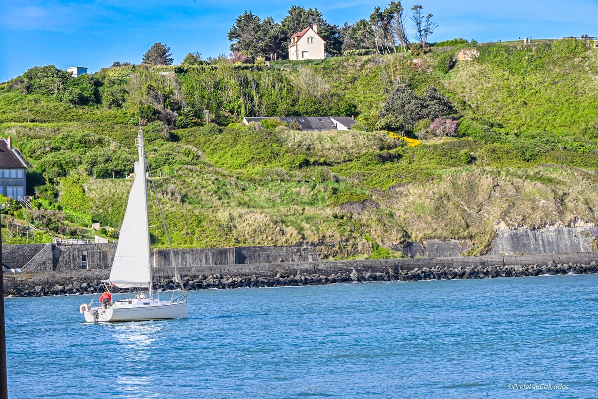 Prefet14's tweet image. 🌊📸 #JeudiPhoto | Entre terre et mer, le #Calvados se dévoile 🌿

Ici, les horizons ne se choisissent pas… ils se vivent pleinement !

Entre la douceur de la campagne normande et la force des paysages maritimes, le Calvados offre un équilibre rare. Les champs verdoyants