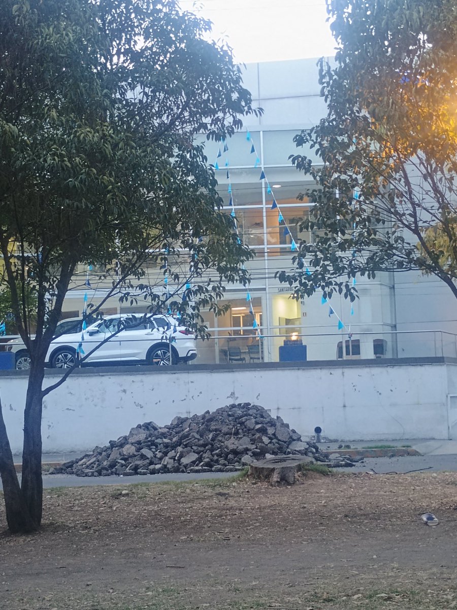 HectorDRico's tweet photo. @Alcaldia_Coy Bueno ya lo quitaron de su ubicación original hace unos días pero mágicamente se multiplicó en otras zonas de la misma calle? Porqué no hacen las cosas como se debe? Es muy difícil o si tengo razón qué les vale madre? @giogutierrezag https://t.co/DMlcYSfnCe