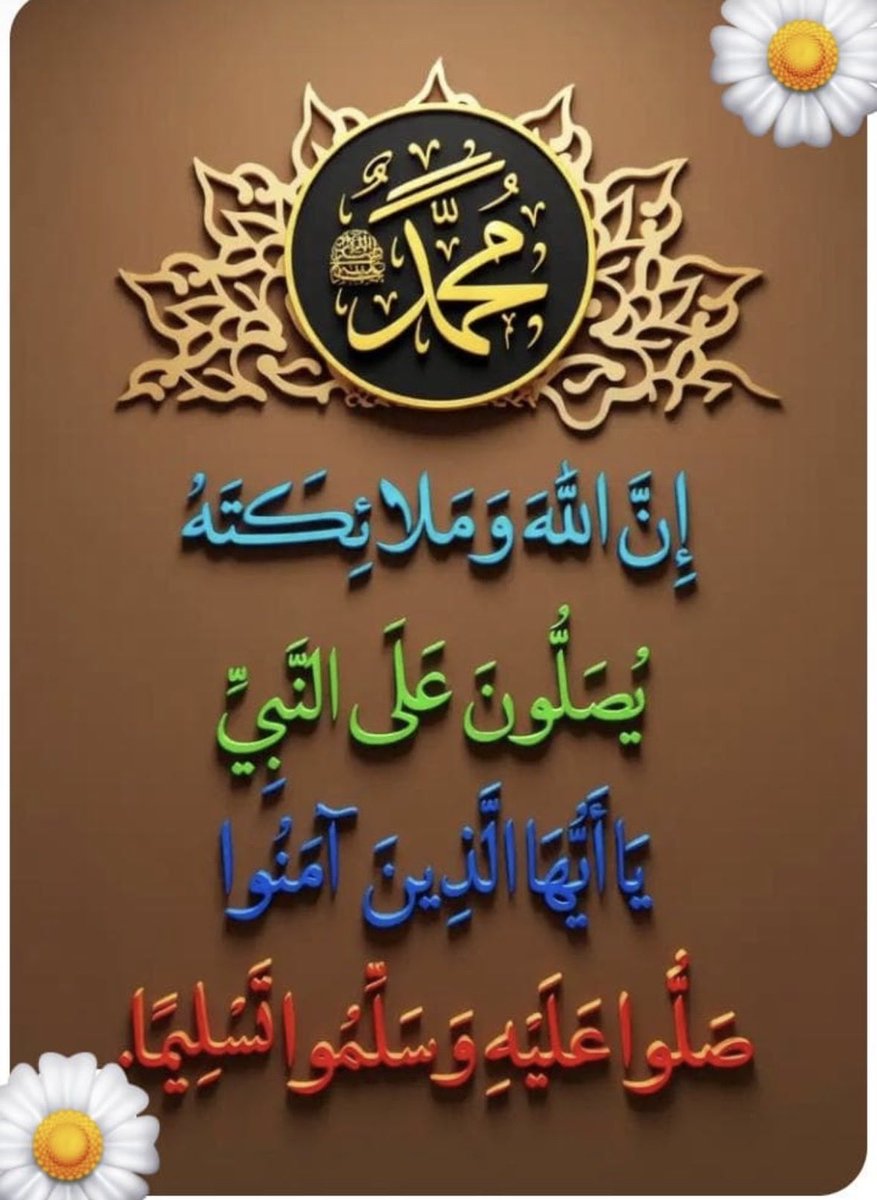 بندر tweet media