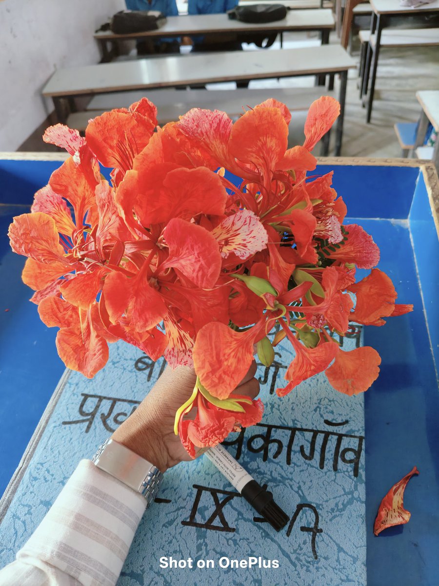 Dilip Prajapati tweet media