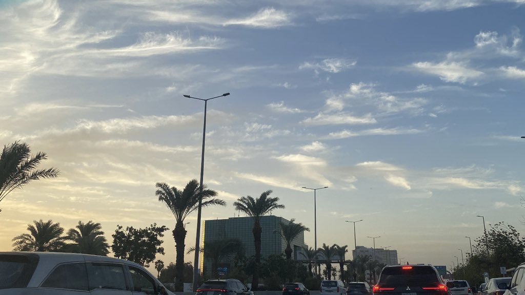تُولـِين tweet media