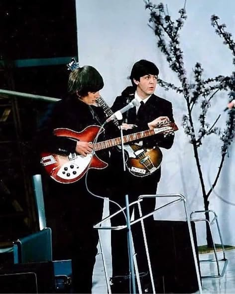 Beatles Archive tweet media