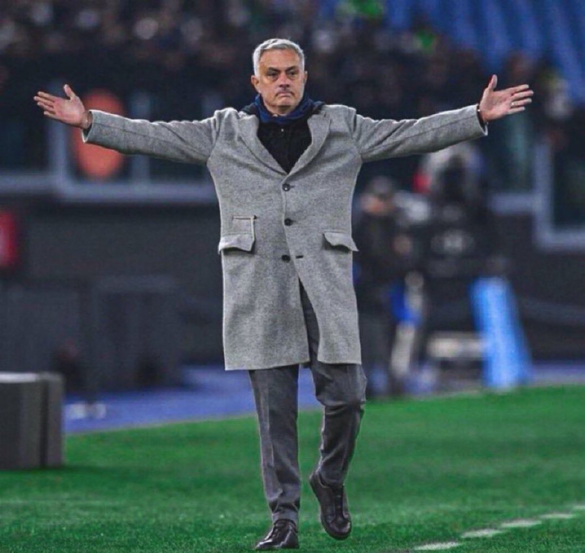 Berneese tweet media