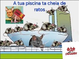 Ricardo tweet media