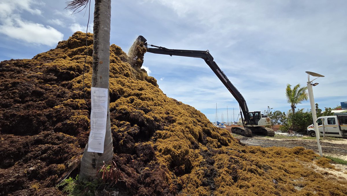 Eric Stimpfling tweet media