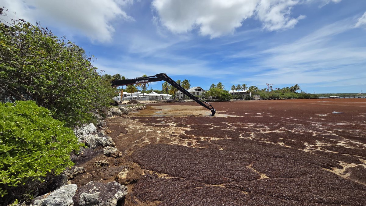 Eric Stimpfling tweet media