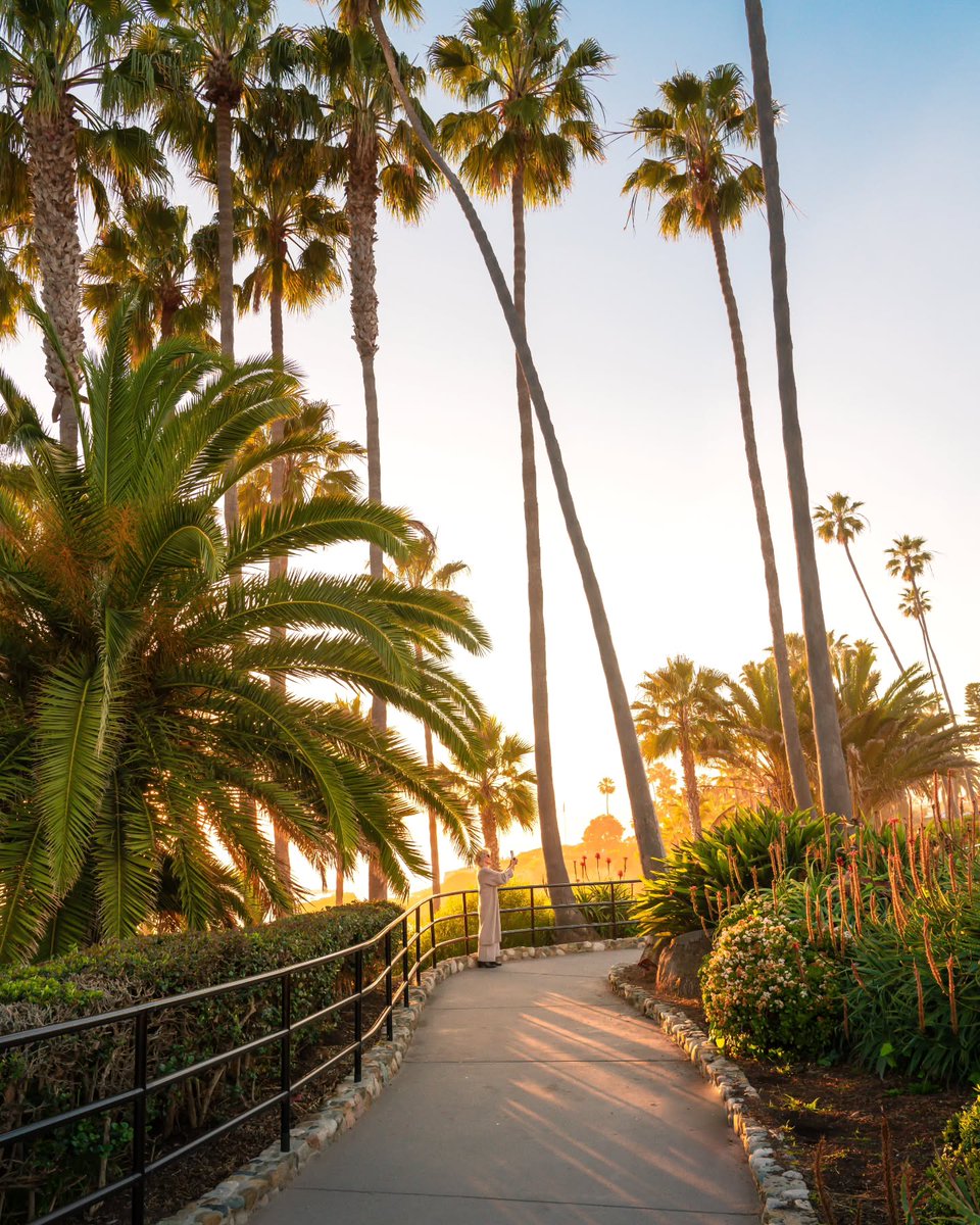 Visit California tweet media