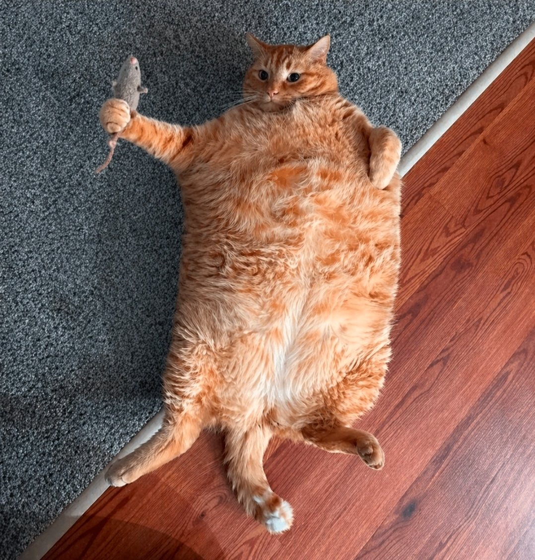 2022!(yeniden) tweet media