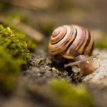 cjgilbertwebpro's tweet image. Website Hosting = "Where your website lives on the Internet."
We offer the full range of Website Hosting Services:
- Domain Name Registration and Renewal
- E-mail Address Setup
- Security
Let us handle all the tech for you!
buff.ly/zxrEID7 
#smallbusiness #businesstips