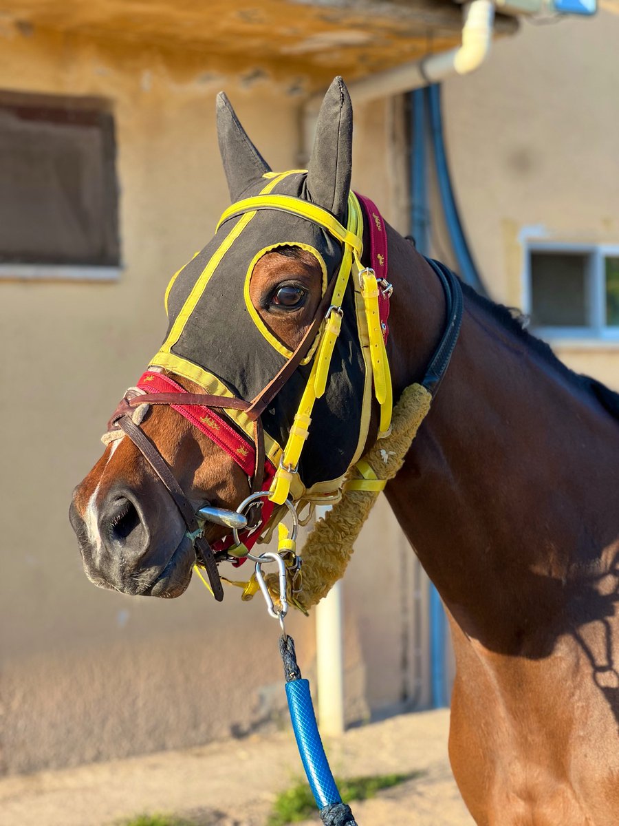 nurullahforza's tweet photo. Loco Sugar 🎤🐴 : “Upamecano, Wolf Rules gibi ürkütücü arkadaşlarım var. Ama kimse beni bahçede görüp bahçıvan sanmasın. Ben çicek bahçesinin kendisiyim”
#Nadas 👀 https://t.co/3QIfyxhnw5