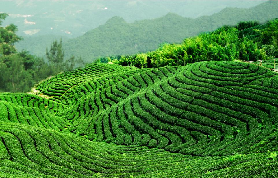 yomelijah's tweet image. #writerLift #writerslift #writers #China #Chinese #ChineseWisdom #神 #耶稣基督 #圣经 #中国 #中国人
Chinese: 六个圣经学习主题 （点击以下链接访问研究文章）: yomelyah.fr/chinese-%e5%85…