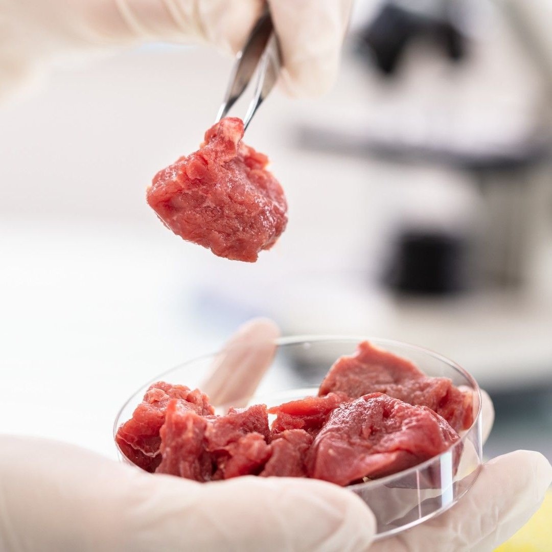 Kekius Maximus tweet media