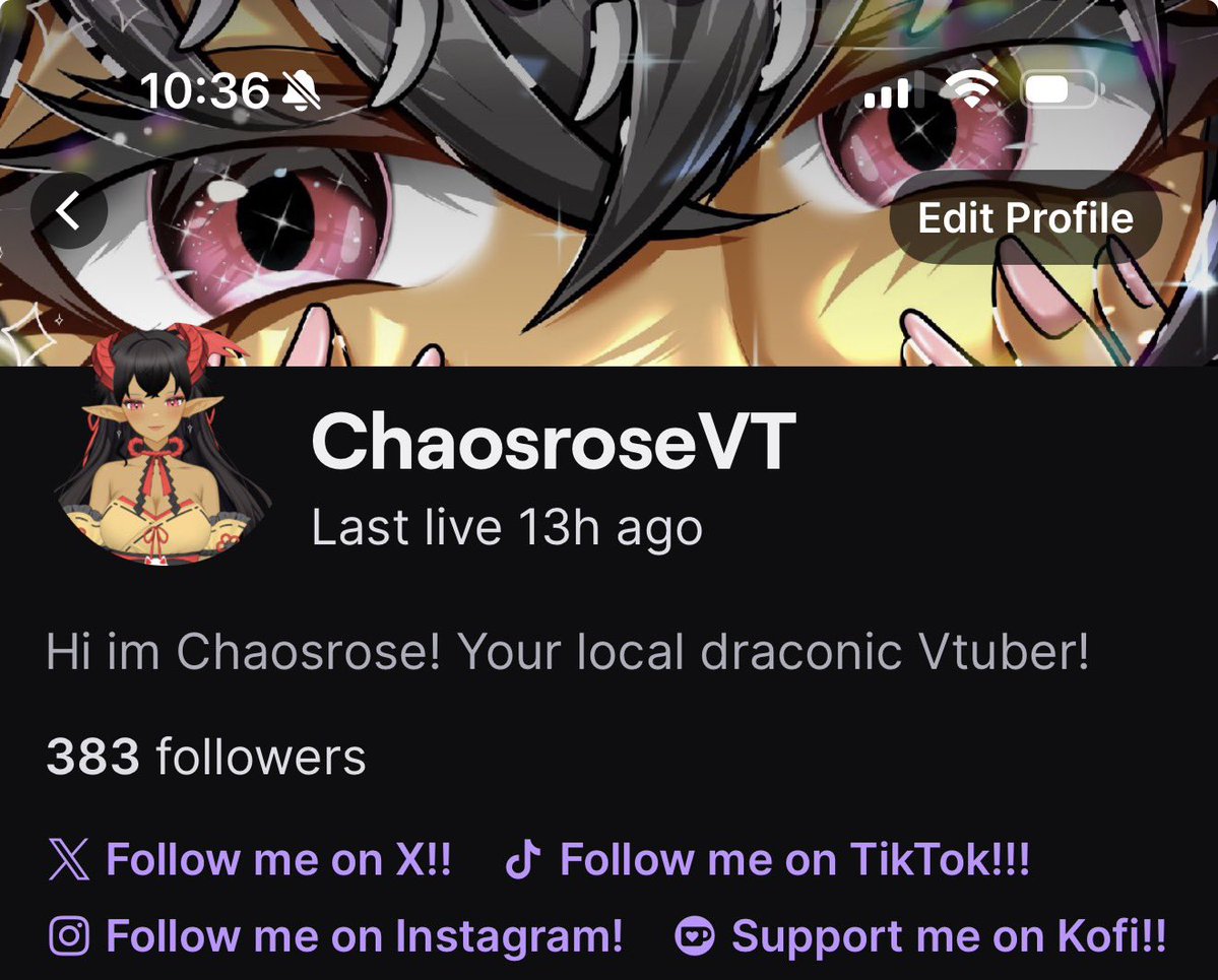 ChaosroseVT 🐉🦊 tweet media