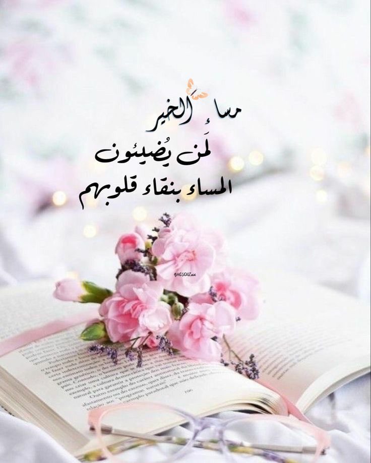 منى🦋 tweet media