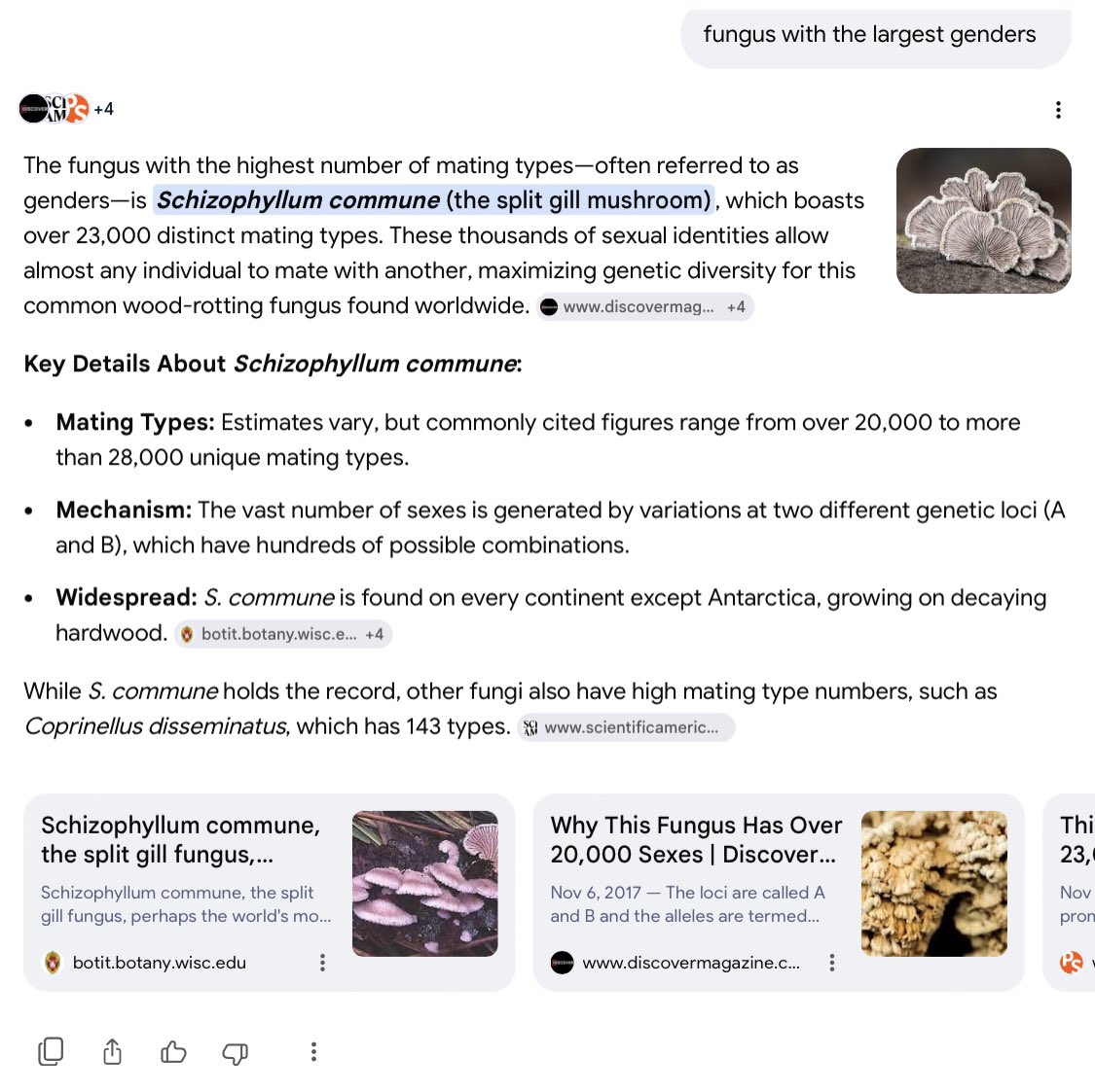 Movie Junkie Fan Account (Might delete Tweets) tweet media