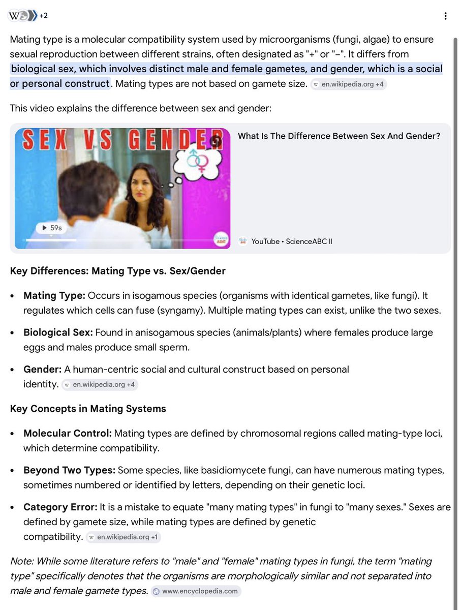 Movie Junkie Fan Account (Might delete Tweets) tweet media