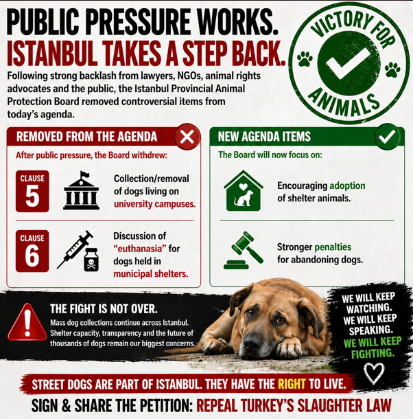 DogDeskAction's tweet photo. BREAKING: Euthanasia discussions for collected dogs were REMOVED from today’s Istanbul Animal Protection Board

Massive public protests forced this but the collections continue.

Sign &amp; share this petition NOW!
https://t.co/zBsdqeMGUl https://t.co/vxR37NbdEF