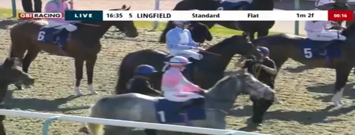 rebelsart's tweet image. 🏆Winner🏆
Results of the 16:35 Fillies' Handicap Stakes at Lingfield Park @LingfieldPark🏇🇬🇧
🥇Mythical Bird
J: Hollie Doyle @HollieDoyle1
T: Hughie Morrison @Summerdown1997 
Riding double for Hollie‼️🏆🏆
#winners #double #Lingfield #HorseRacing #Congratulations @Simysimo