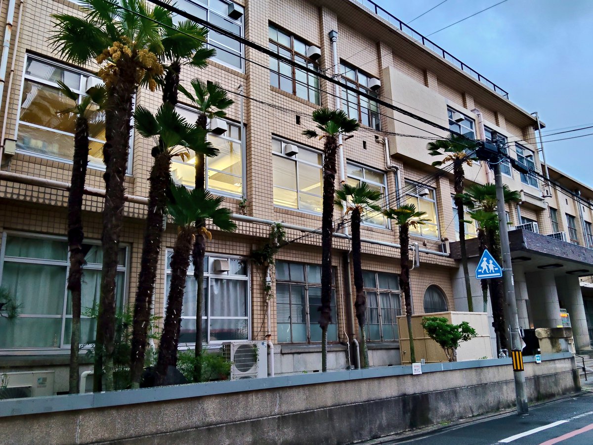 姉三六角 tweet media