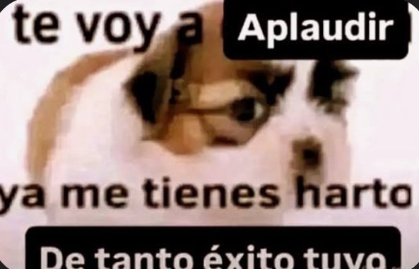 cursed_cat ⚠️👻 tweet media