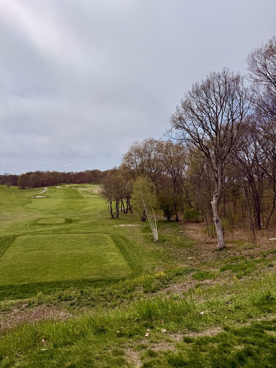 Max’s Golf Quest tweet media