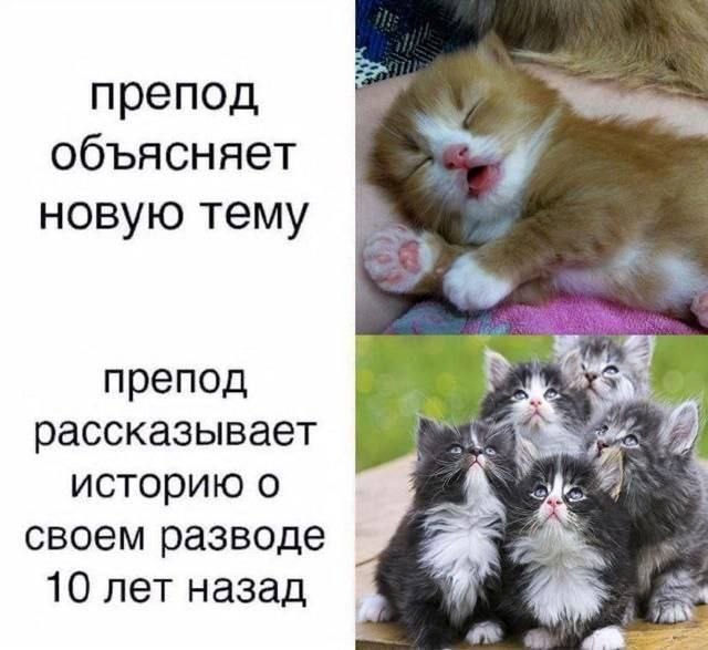 Джулик tweet media