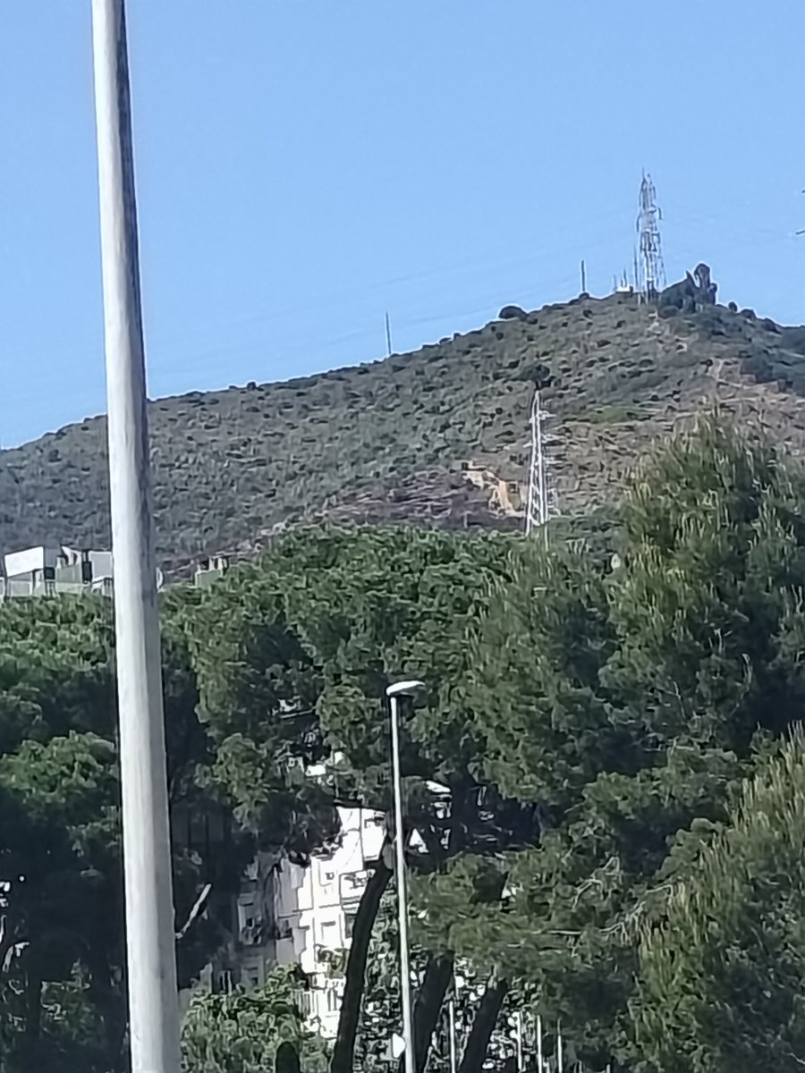 CollserolaSenseAbocadors tweet media
