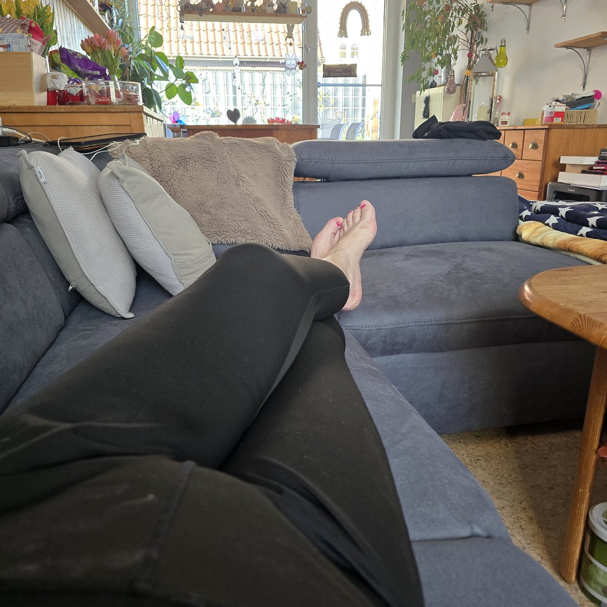 Frau Knüppelkuh tweet media