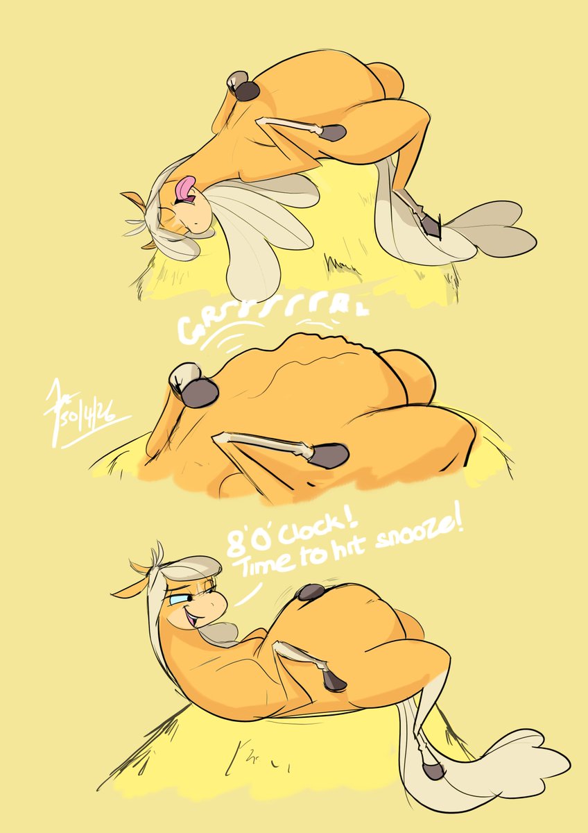 Hashira the Giraffe tweet media