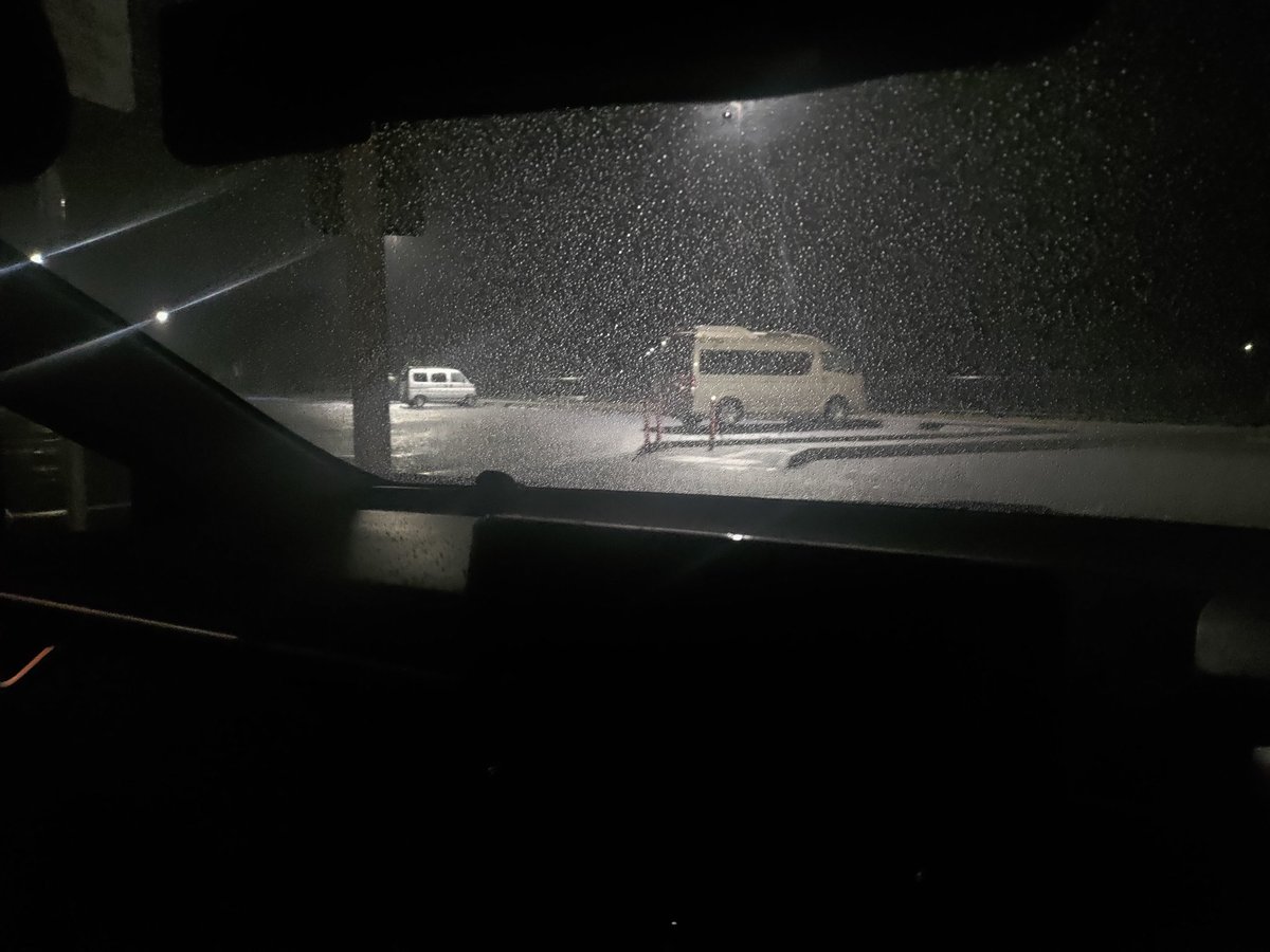 Tゑnゑrゑ tweet media