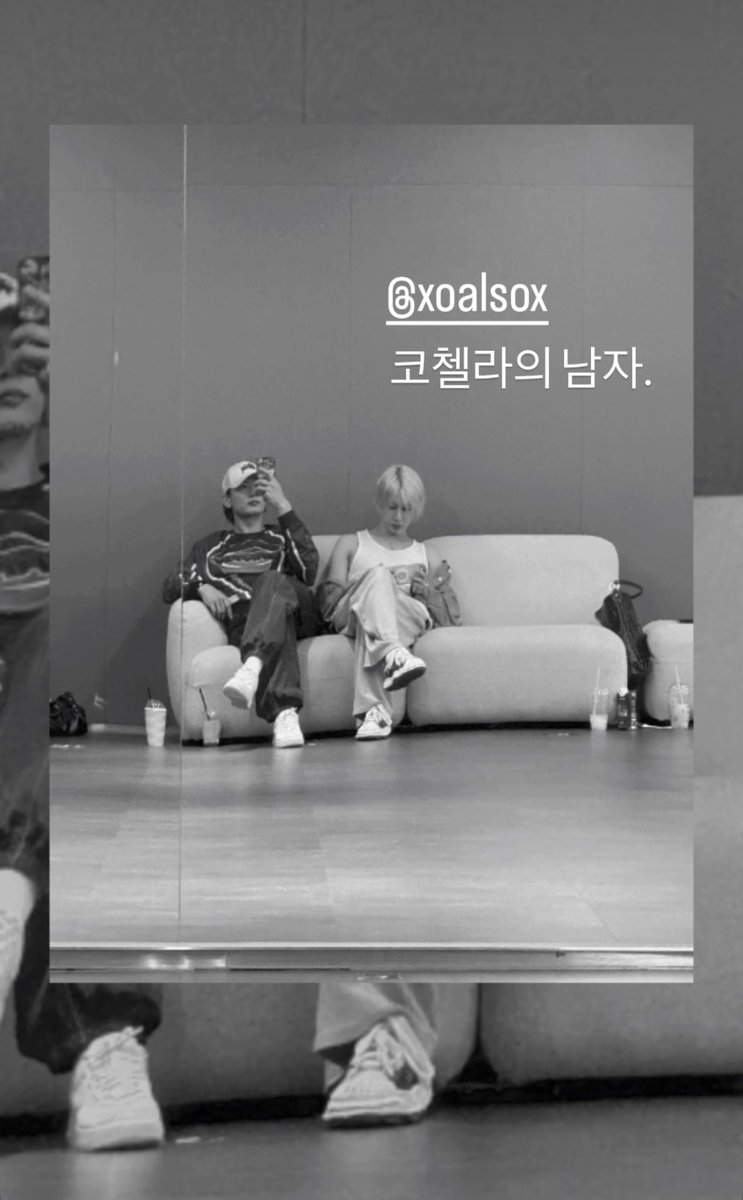 햄조아 tweet media