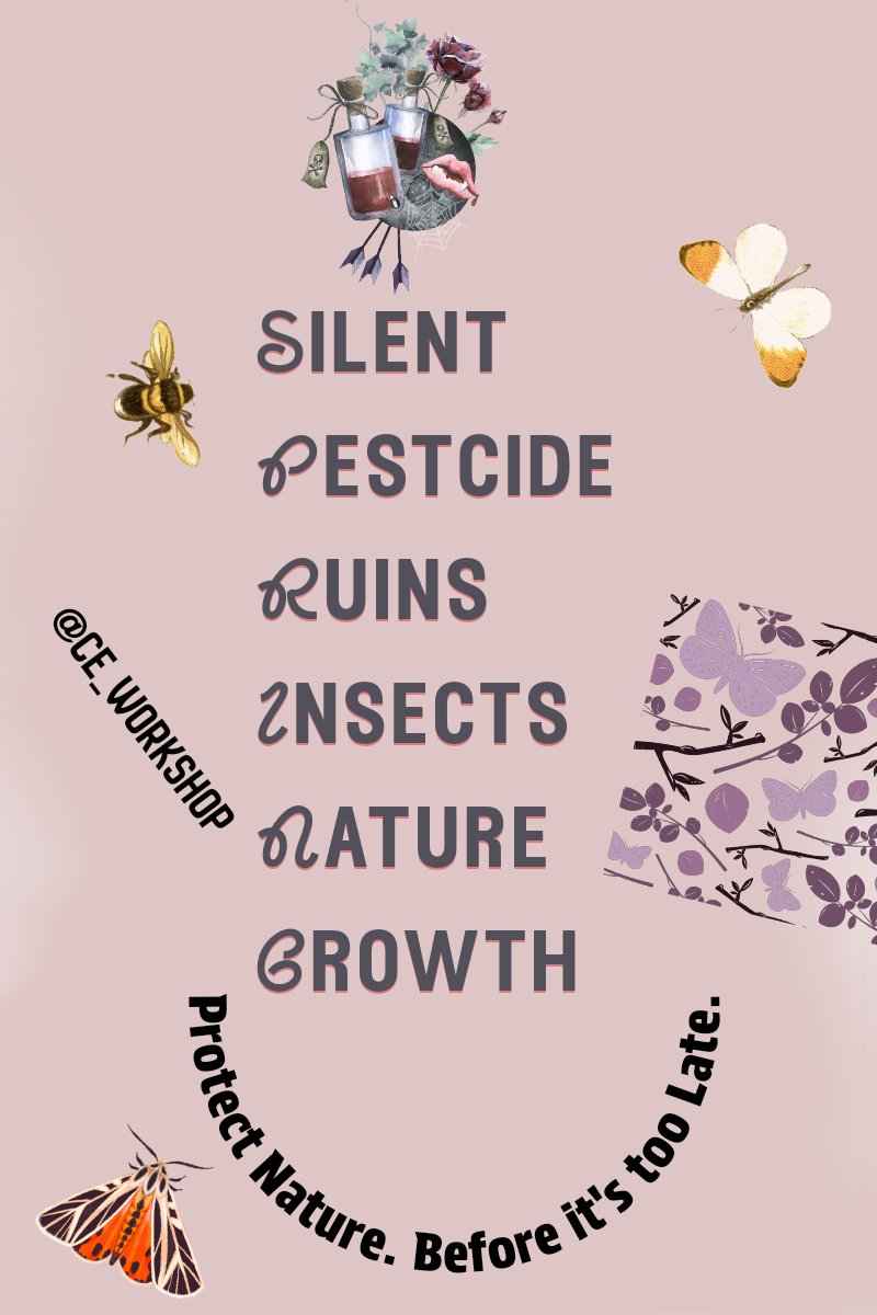 violin4all's tweet photo. Remember, Rachel Carson urged us to stand up against, 60 years ago- toxic chemicals. The recent unveiling of secret government plans to spray large swathes of prime forests across the USA with a known carcinogen, Roundup, is a wake up call to environmental action.  #DefendNature https://t.co/RSWzdrI6iu