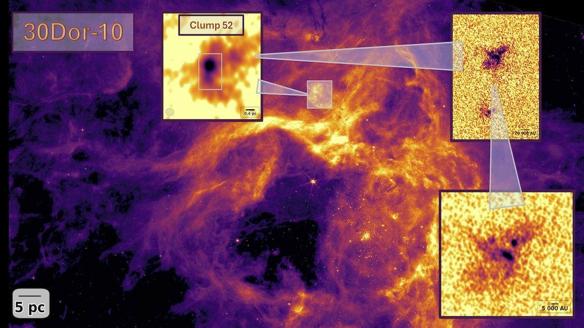 ALMA Observatory📡 tweet media